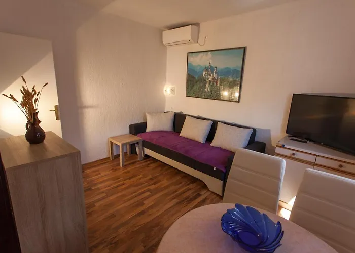 Apartament Budimir1